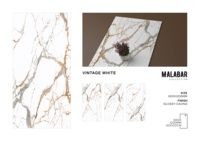 Carreaux de sol et de mur en porcelaine à motif floral, collection Glossy Carving Malabar 600*1200 (S)