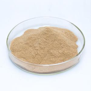 Complément alimentaire séché de qualité supérieure à base de levure pour l'alimentation animale, formule riche en protéines, conditionnement en vrac pour la nutrition du bétail, approvisionnement à l'exportation - Product Image 1