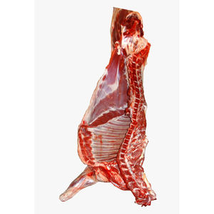 Carcasa de Cordero Halal Congelada de Primera Calidad, Carne de Cordero Tierna para Exportación, Mercados Mayoristas y Procesamiento de Alimentos - Product Image 4