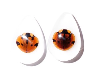 Cabochon Six Star Ladybird Beetle Pear Shape cut <b>top</b> 25x17 mm White Flat Bottom for Crafts and Jewelry Making - Product Image 6