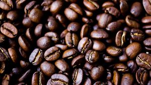 High Quality Organic Arabica <b>Coffee</b> <b>Beans</b> Bulk Dark Roast Whole <b>Bean</b> Factory Direct Supply Customized Packaging OEM ODM Austria - Product Image 6