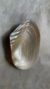 Cuchara Glam Shell de Nácar Plateada, Ecológica, de Lujo, con Acabado Espejo, Duradera, Diseño Vintage - Product Image 2