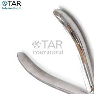 Pinza perforadora profesional de endodoncia de acero inoxidable para conductos radiculares, herramienta dental para clínica, instrumentos quirúrgicos - Product Image 3