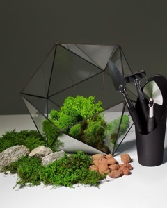 Juego de 3 macetas geométricas de vidrio para terrario, decoración decorativa de mesa para el hogar, oficina, cafetería, eventos y estilo interior moderno. - Product Image 2