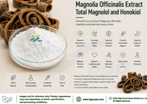 HGO Suministro Directo de Fábrica de Extracto Natural Puro de Magnolia Officinalis (Grado Alimenticio) Total Magnolol y Honokiol 98% - Product Image 2