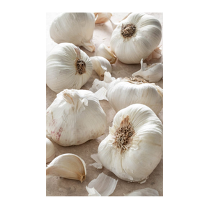 Ail frais blanc en bulbes, arôme naturel pour la cuisine et la transformation alimentaire, disponible en gros - Product Image 5