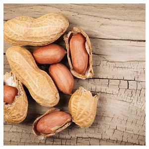 ถั่วลิสงดิบคุณภาพดี, ถั่วลิสง, ถั่วลิสงคั่ว, ถั่วลิสงดิบบด, ถั่วลิสงคั่วและรสเค็ม, เมล็ดถั่วลิสง, ถั่วลิสงทอด - Product Image 5