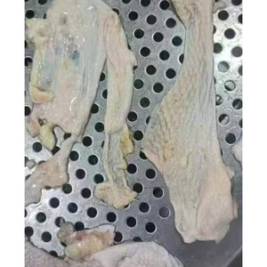 Peau de poulet surgelée de qualité supérieure en gros, vente en vrac, qualité alimentaire premium, stock prêt à l'emploi, approvisionnement pour l'exportation - Product Image 1
