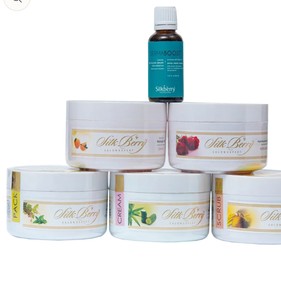 ชุดผลิตภัณฑ์ดูแลผิวหน้าลดสิว Silkberry Professional Anti-Acne Facial Kit 1280 กรัม 6 ขั้นตอน พร้อมเซรั่มบำรุงผิวสำหรับผิวคล้ำ ODM - Product Image 2