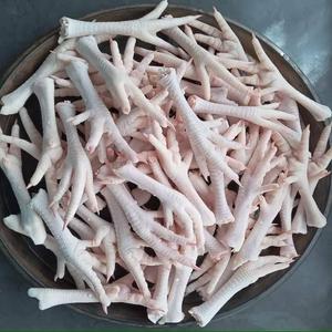 Venta Caliente: Patas de Pollo Congeladas 100% Puras, Certificadas para Exportación Internacional, Buen Precio, con Cafeína - Product Image 1