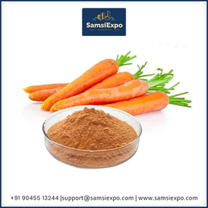 ผงแครอทคุณภาพพรีเมียมสำหรับใช้ในอาหารและเครื่องดื่ม ราคาแข่งขันได้ - Product Image 2