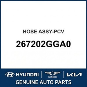 อะไหล่รถยนต์และรถบรรทุก ix35 รุ่นใหม่ อื่นๆ และอุปกรณ์เสริม 267202GGA0 - Product Image 1