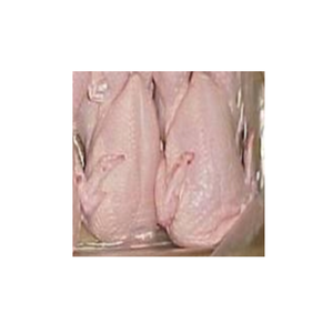 Pollo Entero Congelado de Alta Calidad a Precio de Fábrica - Product Image 4