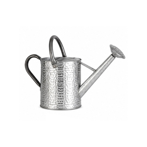Vintage Stylish Metal Water <b>Cane</b> Home <b>Garden</b> Decorative Outdoor Use Watering Can - Product Image 4