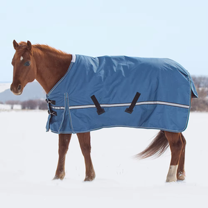 Couverture imperméable pour cheval avec col haut et rabat de queue moyen, tissu 600D, utilisation extérieure, protection toutes saisons, avec design personnalisé - Product Image 1