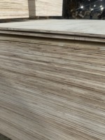 4x8 Third-Class Ash Tree Plywood 1/2 3/4 5/8 Inch Waterproof Marine Styrax E2 Formaldehyde Warehouse Use Made in Vietnam