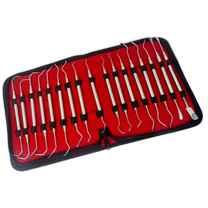 Juego de Instrumentos Dentales Profesionales de Acero Inoxidable, Diseñado para Procedimientos Clínicos, Incluye Sondas para Mediciones Precisas - Product Image 4