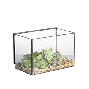 Exclusive Living Metal Terrarium Glass Planter Elegant Indoor Plant Holder Geometric Home Decor - Product Image 6