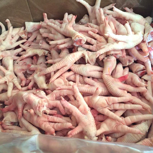 Frozen <b>Chicken</b> Paws Premium Bulk Supply for Commercial Kitchens - Product Image 3