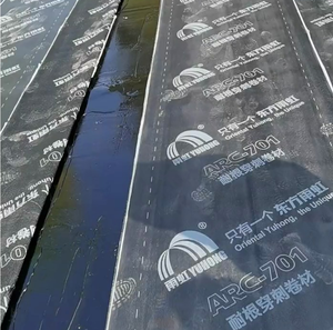 Revêtement de réparation de fuite de toit pour l'Europe de l'Est - Product Image 1