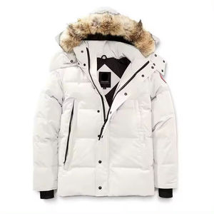 Veste d'hiver imperméable à capuche décontractée et ample en duvet pour les sports de plein air - Product Image 5