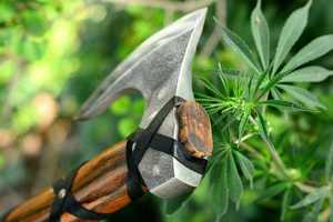 Hacha de mano industrial SCL de 22 pulgadas, forjada en acero de alto carbono, con cabeza de tomahawk y mango de madera de fresno, funda de cuero. - Product Image 5