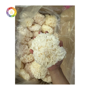 Champignons Séchés Tremella Fuciformis, Champignons Blancs de Neige, Qualité Alimentaire Naturelle, Origine Vietnam, Durée de Conservation 12 Mois, Pour Soupes Sucrées et Desserts - Product Image 1