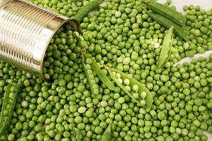 Nouvelle Récolte de la Saison, 100% Pur, Épluché, Salé, Pois Verts en Conserve, Qualité Légumes Premium Inde, Pour Chaînes d'Épicerie Internationales - Product Image 3