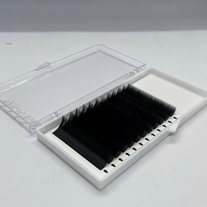 Extensions de cils individuelles en soie, vison et cachemire coréens de haute qualité, avec logo personnalisé, plateau d'extensions de cils avec courbure CC DD, vente en gros - Product Image 1