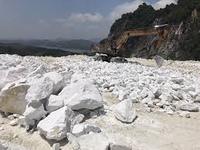 CACO3 Calciumcarbonat-Pulver Guter Preis Beschichtungsqualität Lebensmittelqualität Epoxid Vietnam HERKUNFT Bootsfarbe Autofarbe Schnelle Lieferung