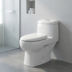 Export Quality Washdown Ceramic One-Piece Water Closet Toilet WC Commode Set - Made In India Sanitary Ware - Product Image 4