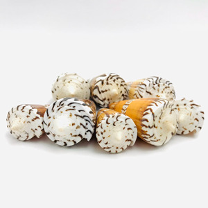 Vente en gros de coquillages naturels décoratifs pour aquariums et accessoires. - Product Image 2