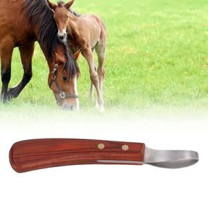 Cuchillo para Pezuñas de Acero Inoxidable OEM, Reutilizable, Duradero, Hecho a Mano, para el Cuidado de Caballos y Uso Veterinario - Product Image 6
