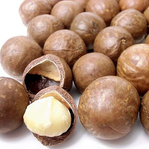 Noix de macadamia biologiques de qualité supérieure, brutes et séchées, provenant d'Autriche, avec coquilles ouvertes - Product Image 6