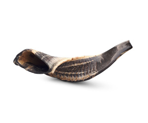 Shofar artisanal en corne de bélier naturelle, instrument brut au toucher authentique, artisanat religieux traditionnel et décoration intérieure - Product Image 2