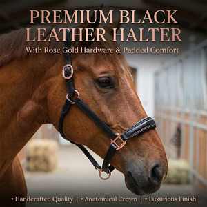 Harnais de cheval élégant en cuir noir avec quincaillerie en acier inoxydable, couronne et muserolle rembourrés, réglable, pour selle anglaise haut de gamme - Product Image 2