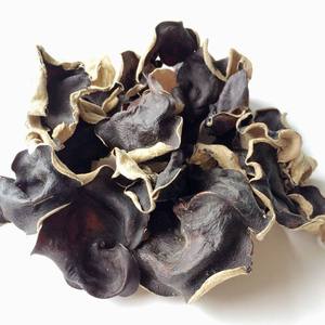 Champignons noirs séchés entiers, ingrédient naturel brut - Product Image 3