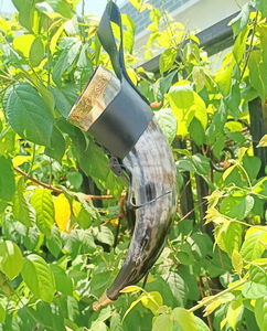 Cuerno vikingo artesanal personalizado para beber, nuevo estilo, Animal, talla religiosa, cerveza, hidromiel, técnica pulida, artesanías naturales - Product Image 1