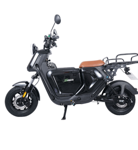 Vélos électriques de ville 800W en stock au Royaume-Uni, vélos de livraison longue portée 250W, trottinettes électriques prêtes à être expédiées depuis l'entrepôt britannique - Product Image 1
