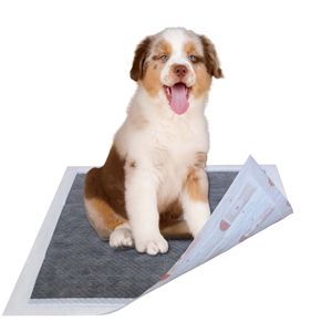 Tappetini Assorbenti per Addestramento Cani al Carbone Attivo, 55 Grammi, Elimina Odori, Antiscivolo e Antibatterici, Premium per Animali Diabetici - Product Image 1