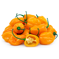Exportklaar verse Habanero-peper met een hoog scherpteniveau voor industriële verwerking en voedingsmiddelen met toegevoegde waarde