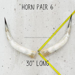 Par de Cuernos de Vaca Decorativos Hechos a Mano, Decoración Rústica para el Hogar - Product Image 5