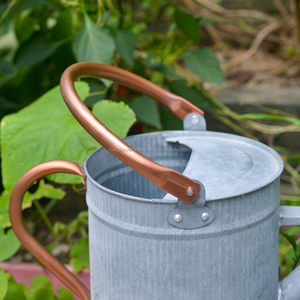 Regadera de Metal Galvanizado con Boquilla Desmontable, Regadera de Acero para Interiores y Exteriores - Product Image 3