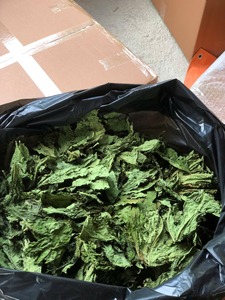 MÁS VENDIDO: Hoja de Papaya Crujiente del Delta de Vietnam, Té Seco Fácil de Preparar, Sabor Suave, Alimento para Conejos, 3kg/Bolsa, 12 Meses de Caducidad, Exportación - Product Image 6