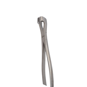 Pinzas Dentales de Acero Inoxidable para Caballos Surtech International Clase I, Herramienta de Cirugía Oral para Extracción de Molares de Todos los Tamaños, CE por Grip Surgical - Product Image 1