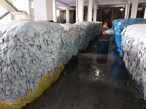 Cuir croûte Wet Blue de qualité supérieure pour la fabrication de chaussures, sacs, ceintures et articles de rembourrage - Product Image 4