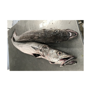 Hake <b>Fish</b> Frozen for Catering and Restaurant Supply - Product Image 4