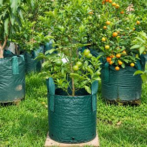 Sac de culture tissé en PEHD de haute qualité 35L, stabilisé aux UV, robuste, avec 2 poignées pour pépinière et horticulture - Product Image 5