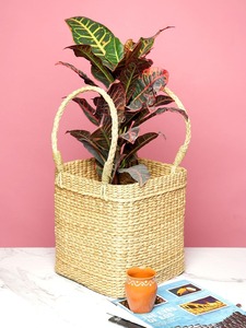 Set of 3 <b>square</b> seagrass <b>baskets</b> with handles Handmade Storage <b>Basket</b> Wholesale eco-friendly Made in Viet Nam - Product Image 6