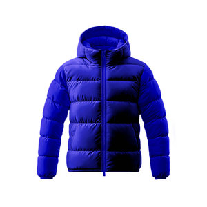 Chaqueta Acolchada de Invierno para Hombre, Color Sólido, Casual, Brillante, con Capucha, Cierre Completo, Resistente al Viento, Cálida - Product Image 2